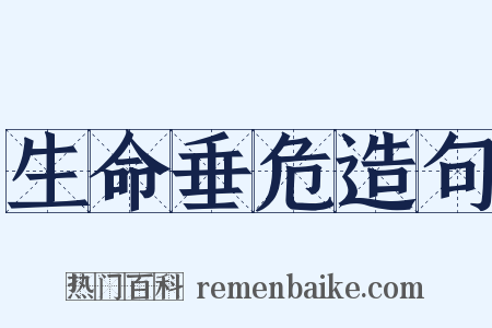 生命垂危造句是什么意思的图片